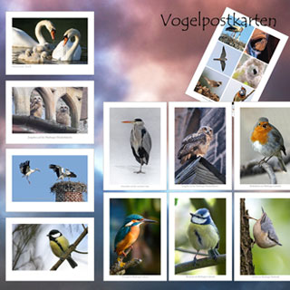 Vogelpostkarten - Marburg-Impressionen.de